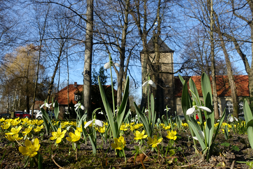 Vorfrühling in Wolfsburg﻿