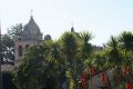 DSC00581.jpg