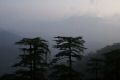 himachal_pradech0030.jpg