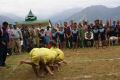 himachal_pradech0052.jpg