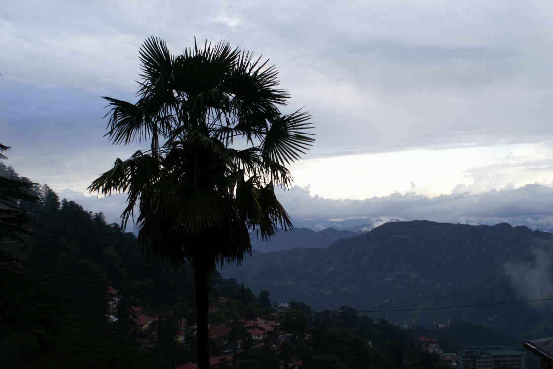 himachal_pradech0109.jpg