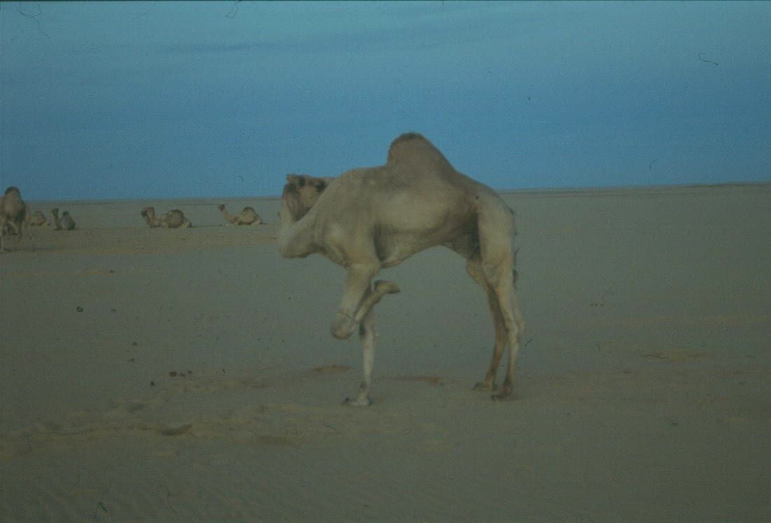 aegypten0003.jpg
