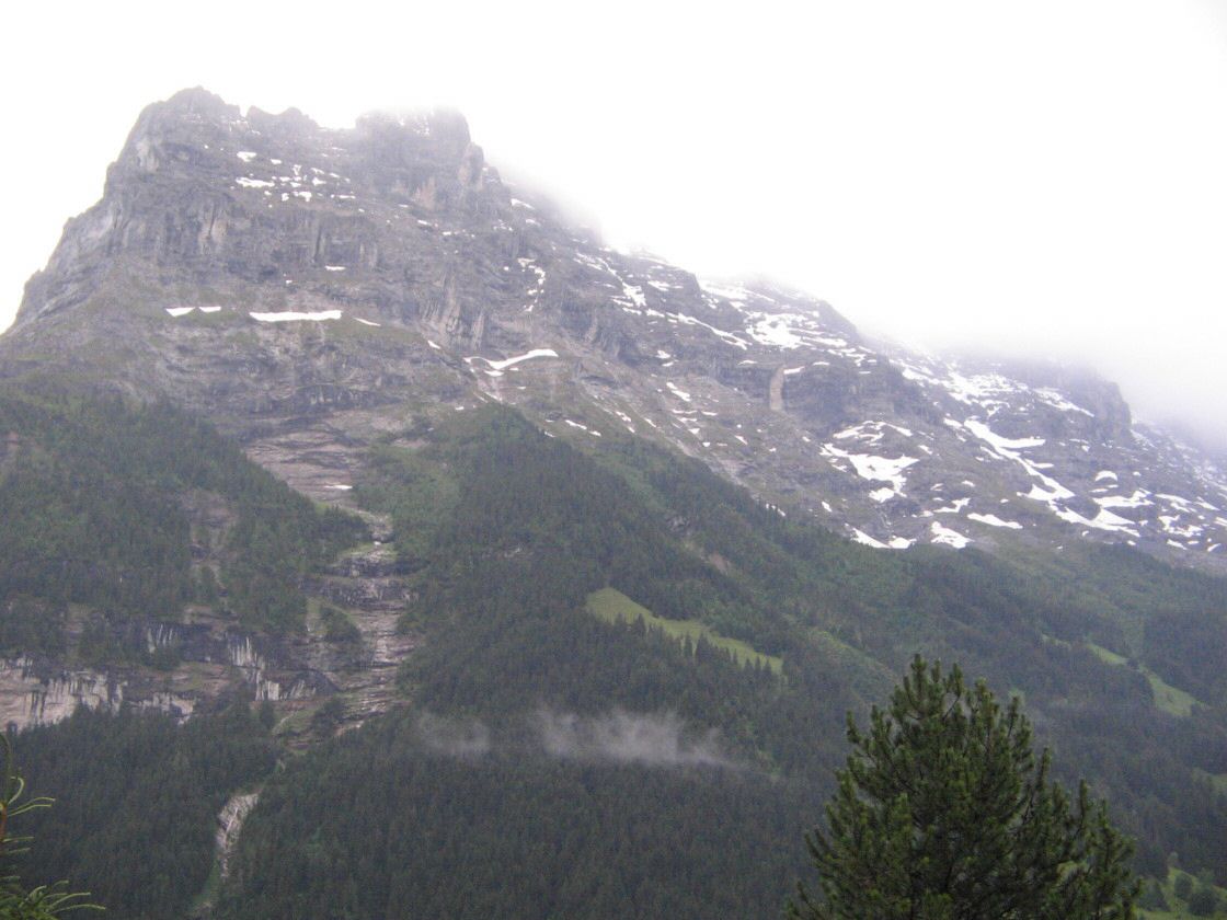 grindelwald0001.jpg