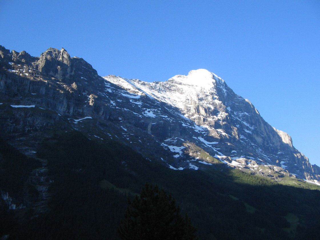 grindelwald0018.jpg