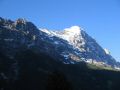 grindelwald0018.jpg