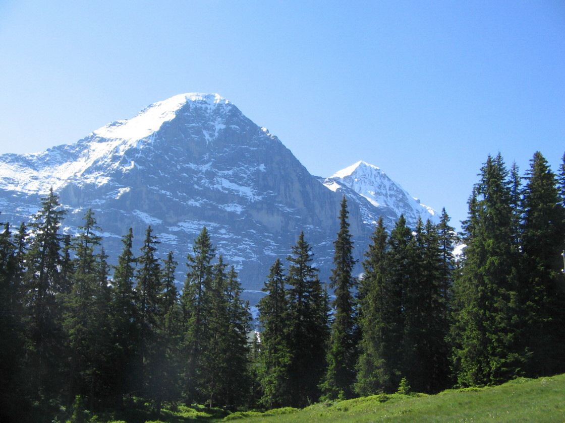 grindelwald0021.jpg