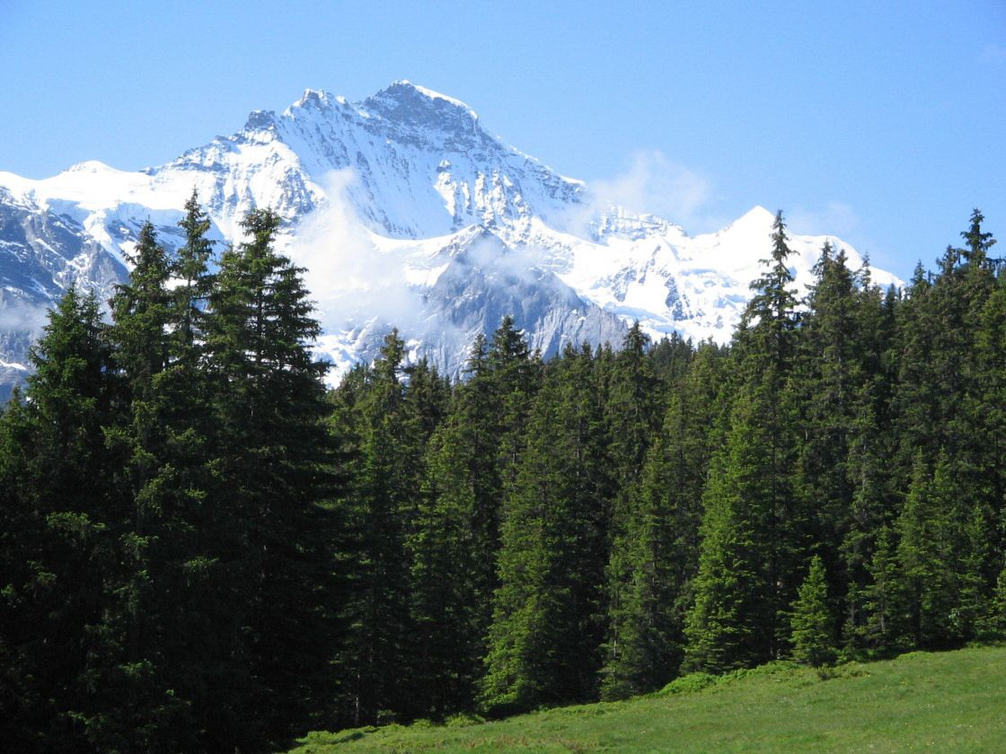 grindelwald0022.jpg