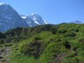 grindelwald0027.jpg