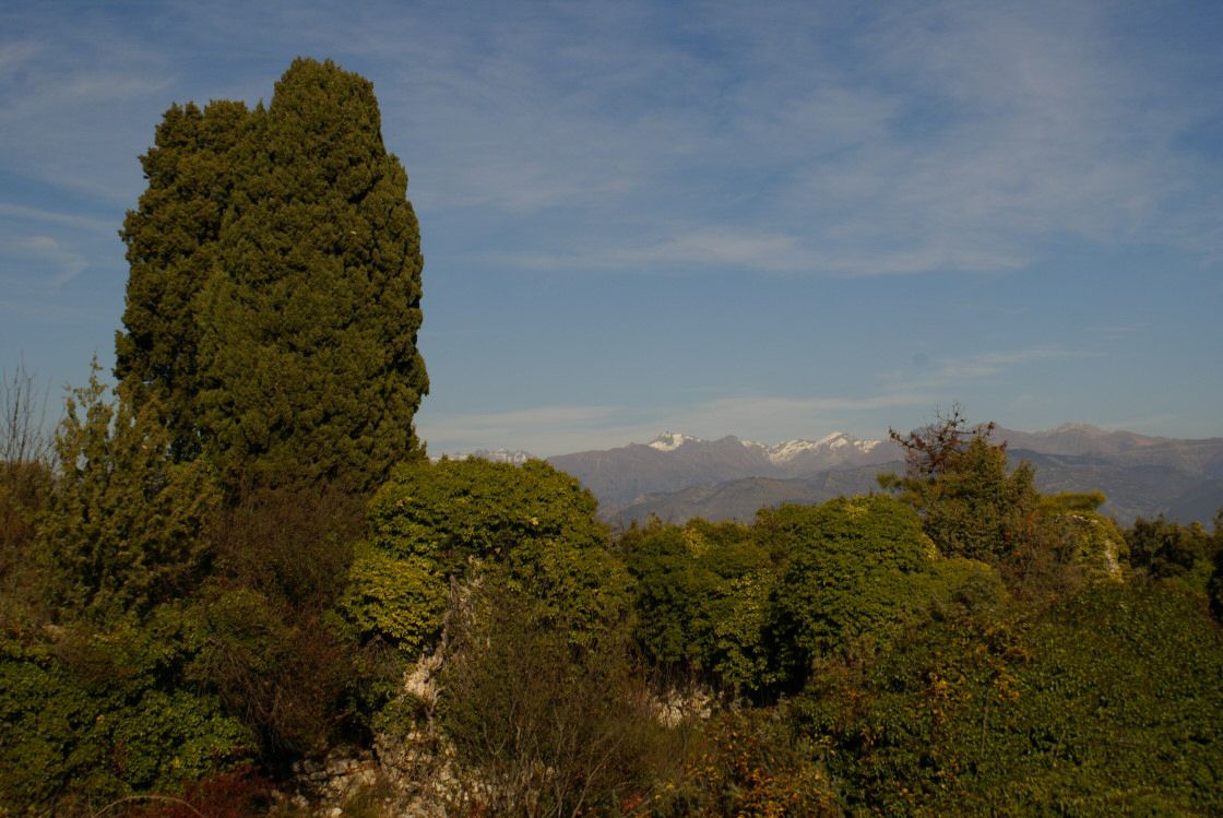 alpes_maritimes0005.jpg