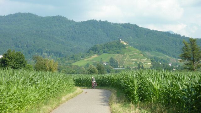 schwarzwald0035.jpg