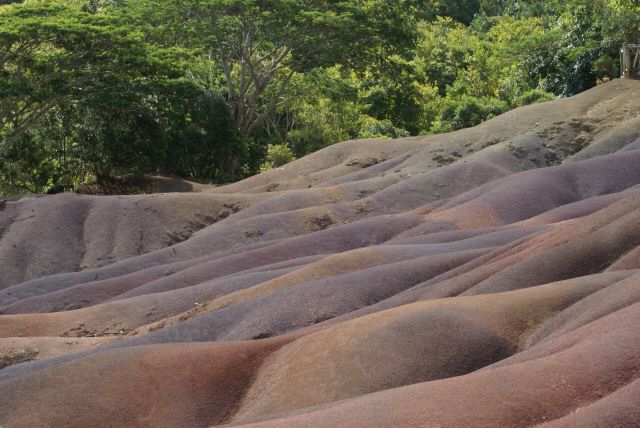 chamarel0037.jpg