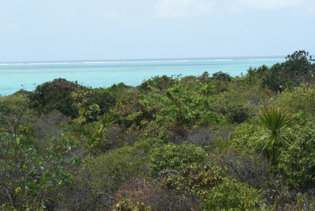 ile_aux_aigrettes0014.jpg