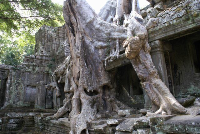 ta_prohm0013.jpg