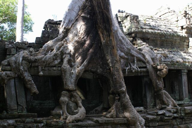 ta_prohm0015.jpg