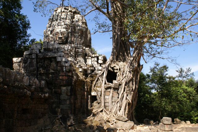 ta_prohm0021.jpg