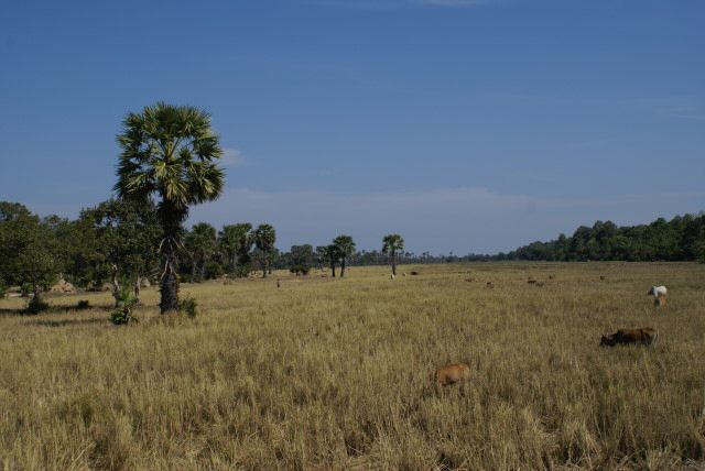 Endlich raus aus Poipet und ab nach Siem Reap