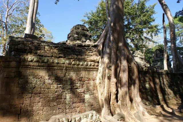 ta_prohm0029.jpg