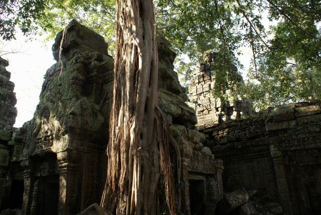 ta_prohm0030.jpg