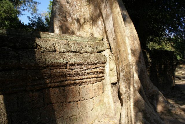 ta_prohm0035.jpg