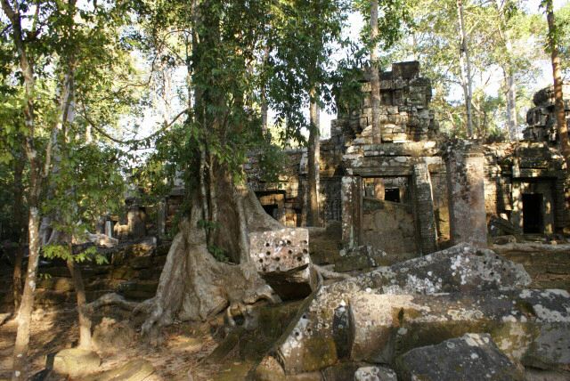 ta_prohm0036.jpg