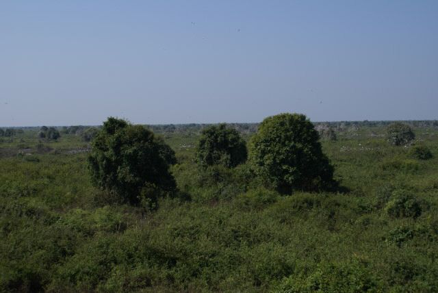 preaktoal0029.jpg