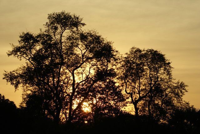 angkorwat0005.jpg