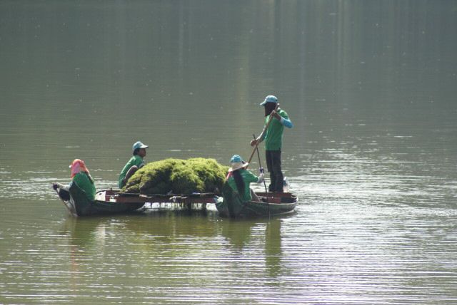 angkorwat0007.jpg