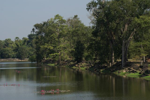 angkorwat0010.jpg