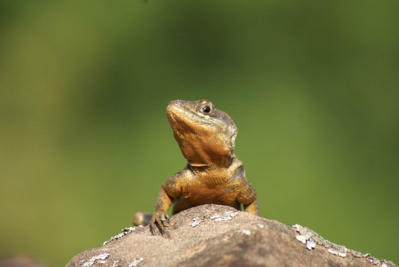 bildcher0008.jpg