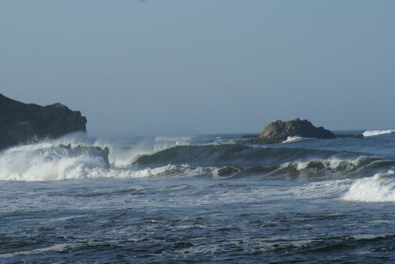 DSC07847.jpg