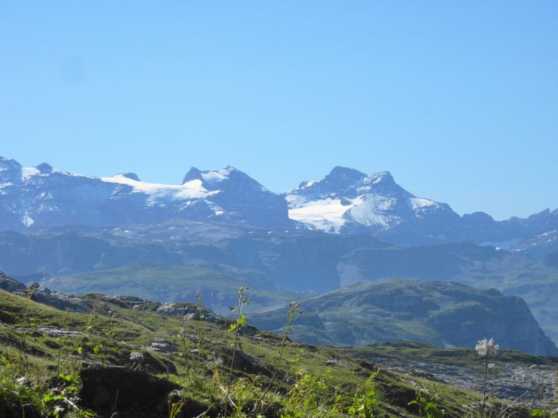P1080617.jpg
