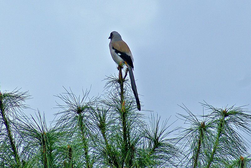 DSC02827.jpg