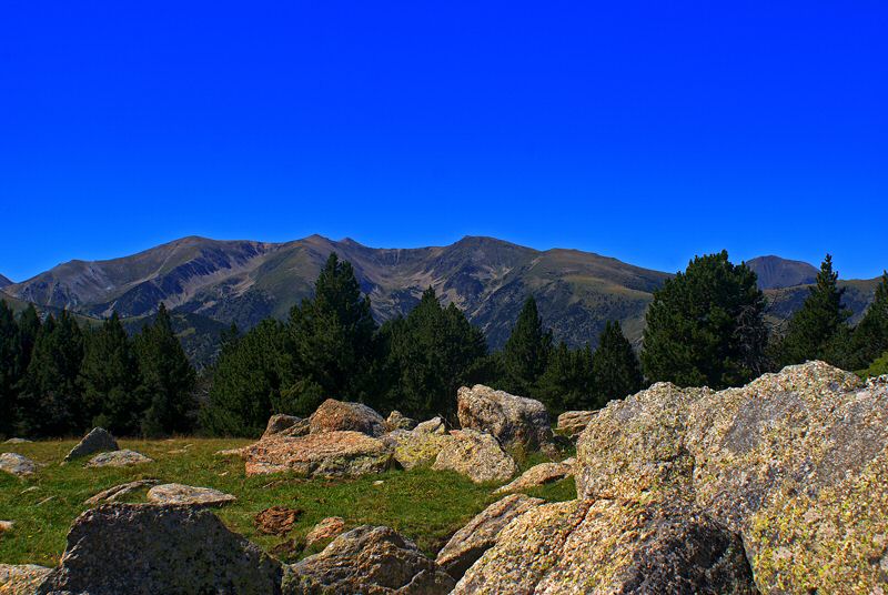 DSC05304.jpg