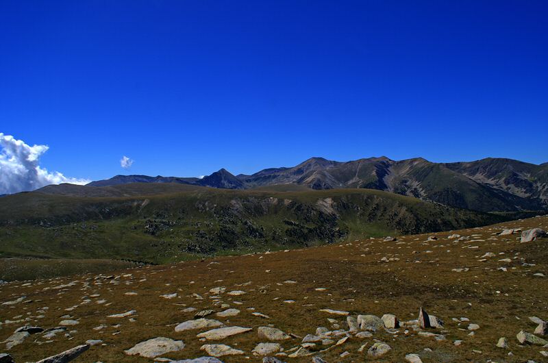 DSC05322.jpg