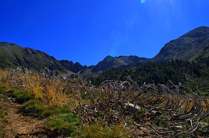 DSC05356.jpg