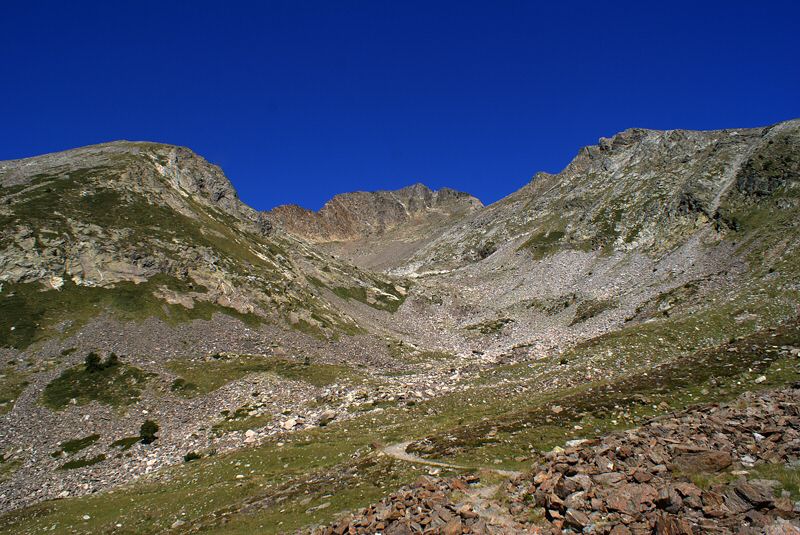 DSC05359.jpg