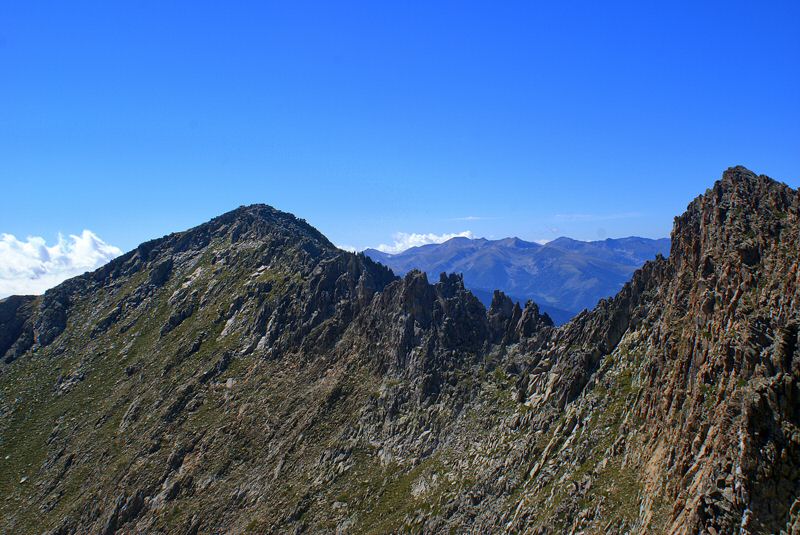DSC05385.jpg