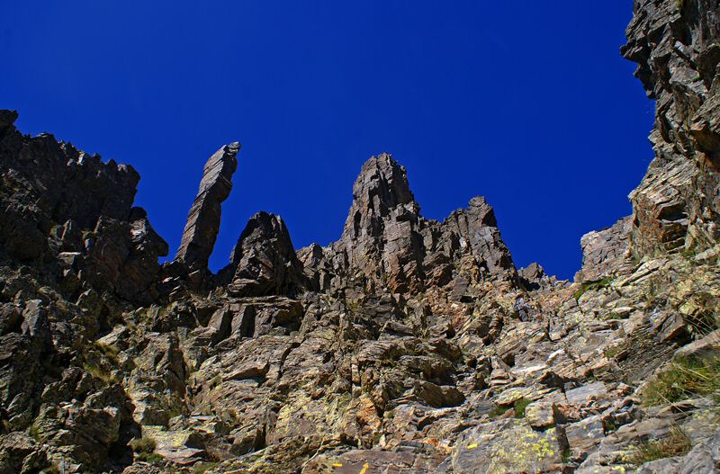 DSC05407.jpg
