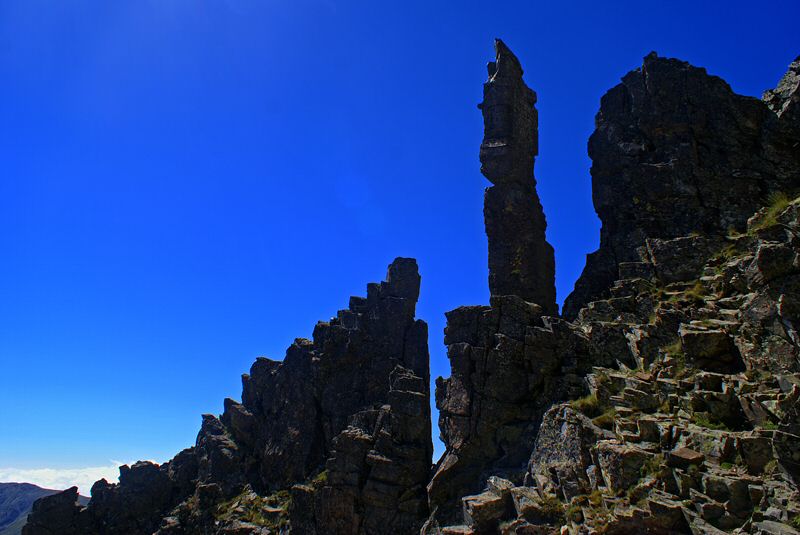 DSC05415.jpg