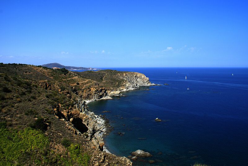 DSC05508.jpg