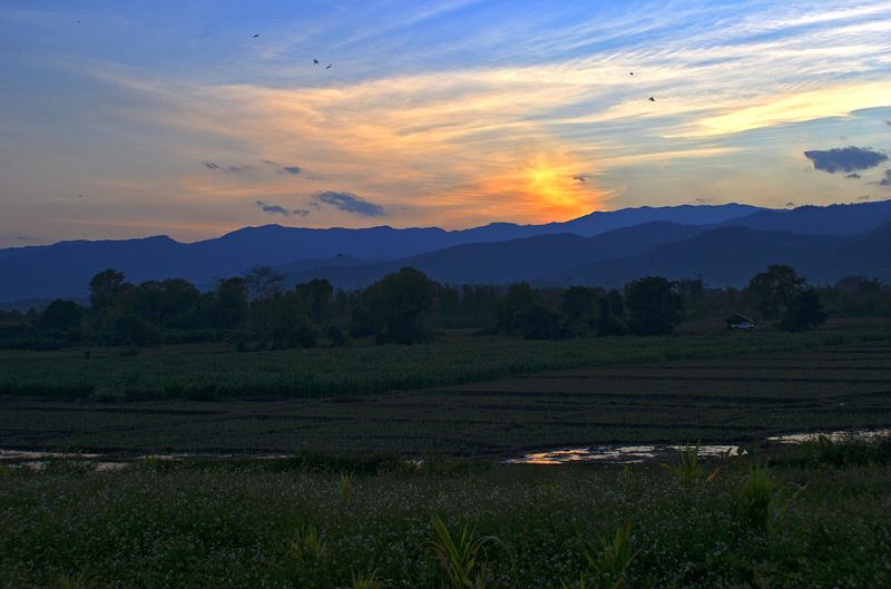 DSC06740.jpg