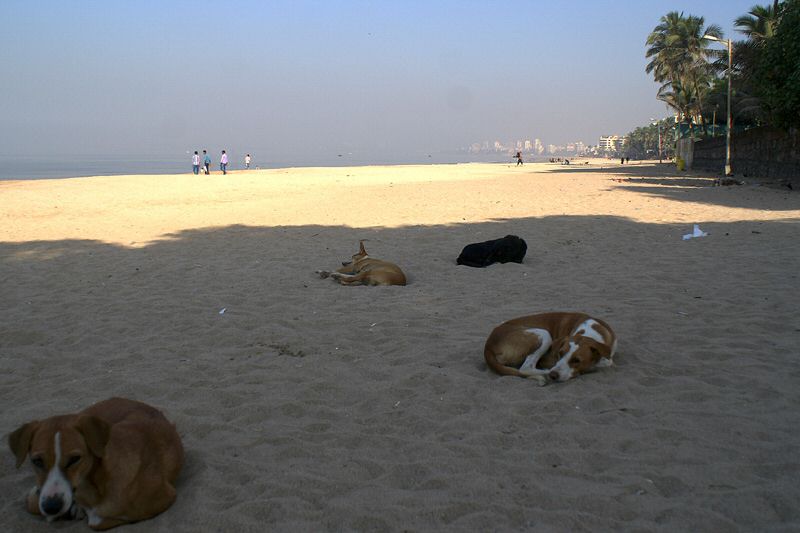 DSC08104.jpg