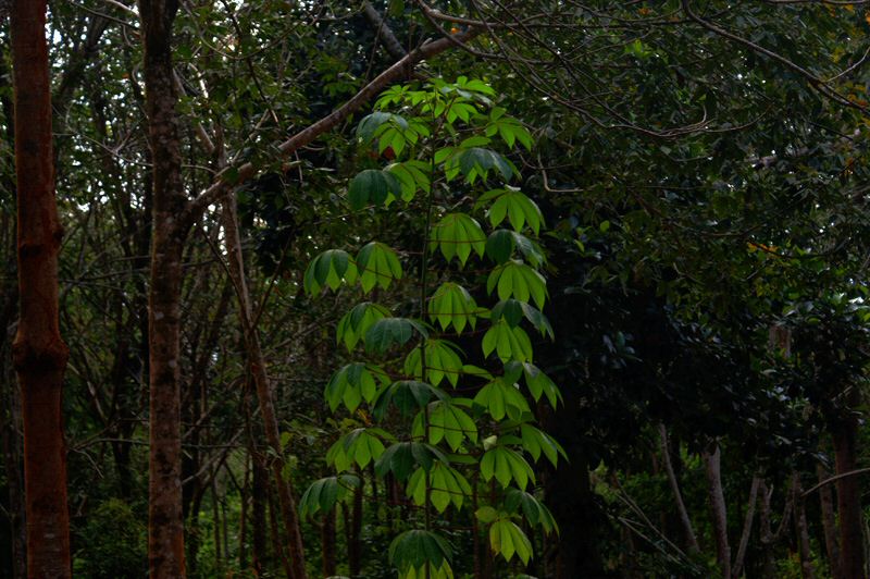DSC07777.jpg