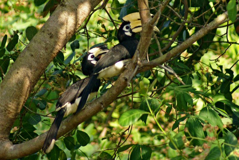 DSC07916.jpg