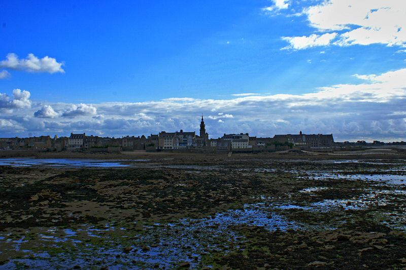 DSC00345.jpg