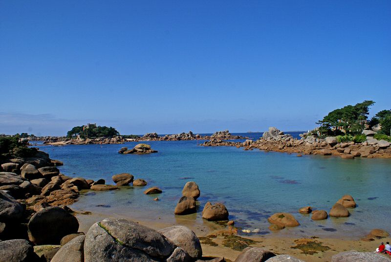 DSC00483.jpg