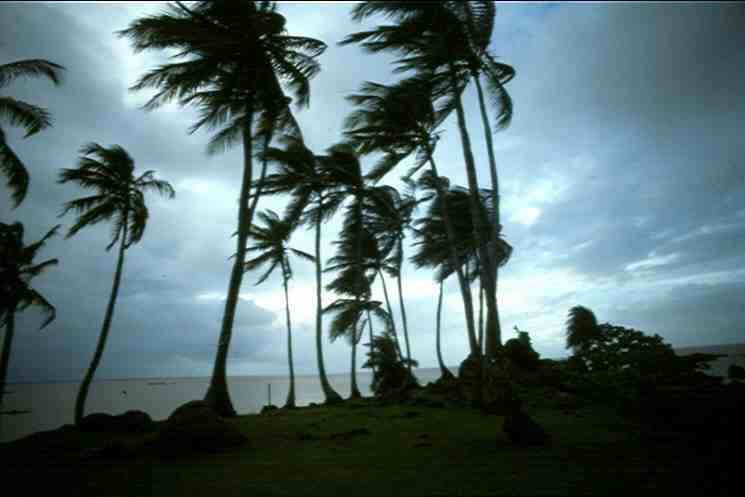 scan0004.jpg