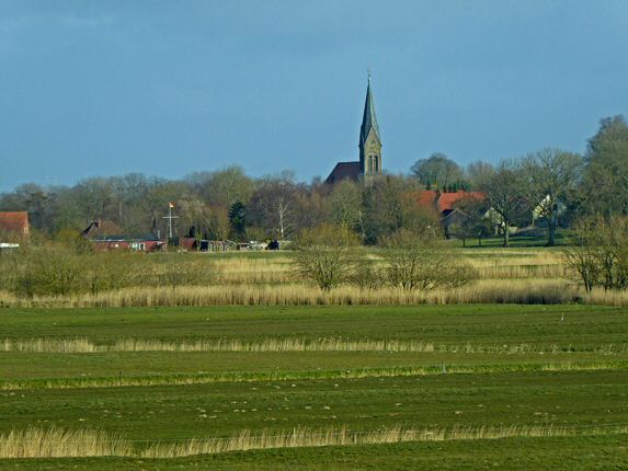 P1050190.jpg
