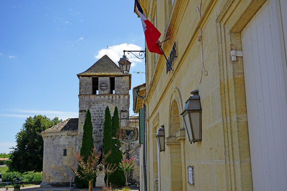 DSC06480.jpg