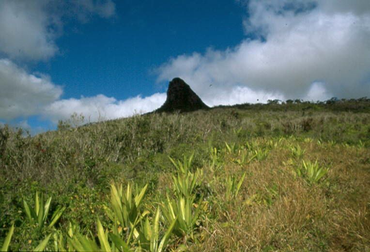 Mauritius0012.jpg